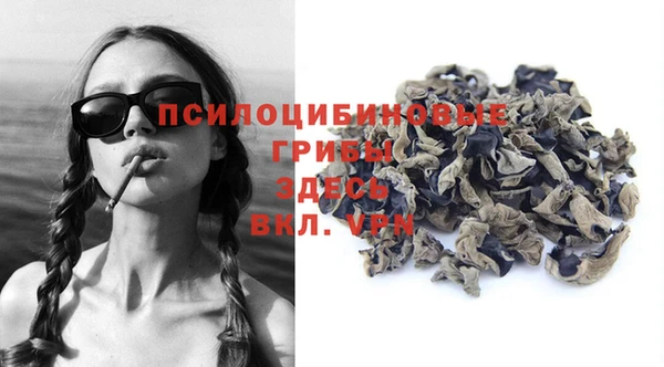 ALPHA PVP Алексин