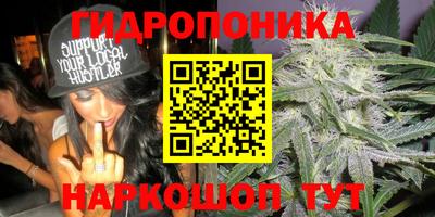 гашик Чапаевск