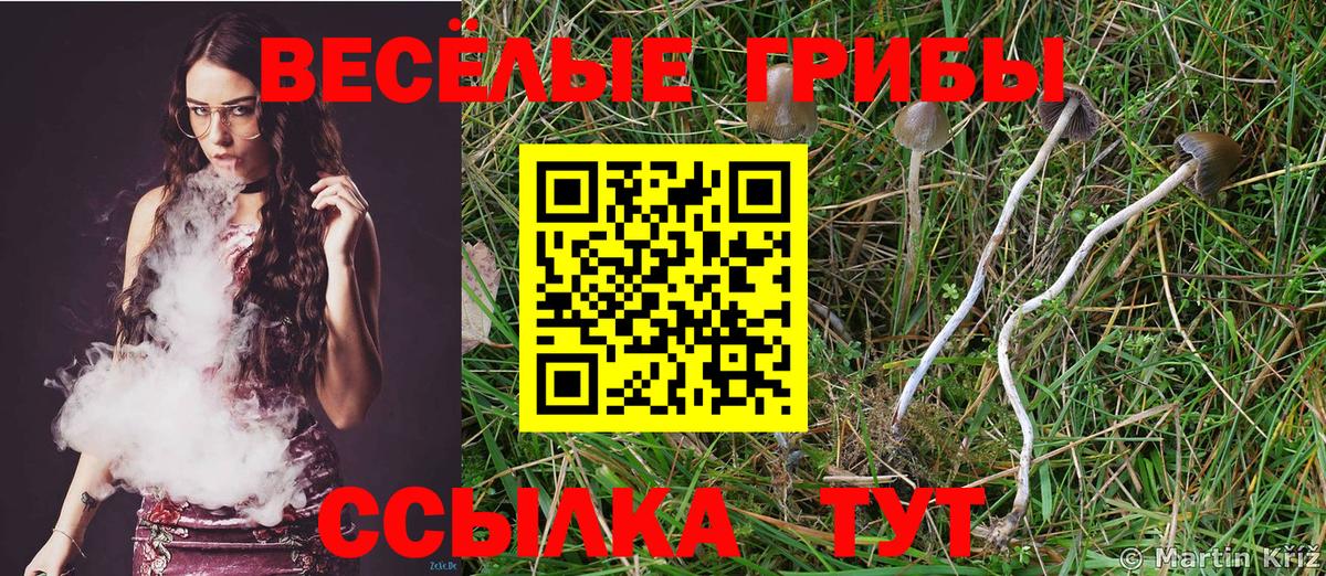 Галлюциногенные грибы Psilocybine cubensis Алушта